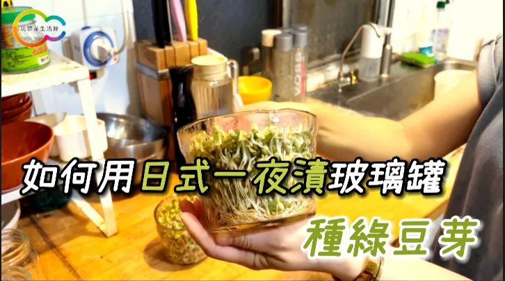 如何用日式一夜漬玻璃罐種綠豆芽