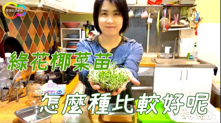 綠花椰菜苗怎麼種比較好呢
