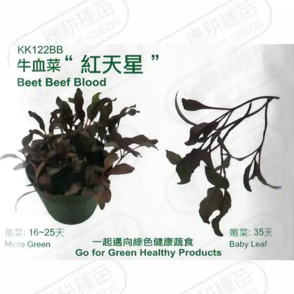 台灣PIH嚴選★牛血菜 紅天星 種子★其他生活