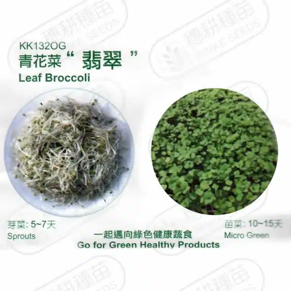 台灣PIH嚴選★青花菜 翡翠 種子★種子花苗