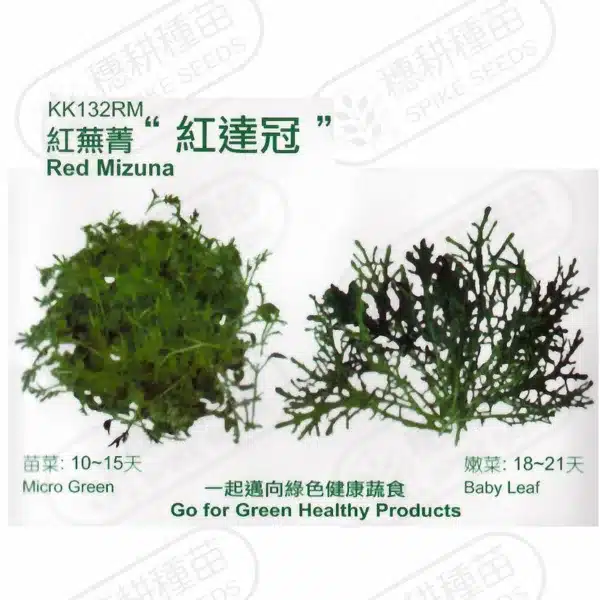 台灣PIH嚴選★紅蕪菁 紅達冠 種子★種子花苗