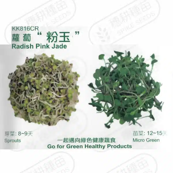 台灣PIH嚴選★蘿蔔 粉玉 種子★種子花苗