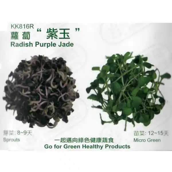 台灣PIH嚴選★蘿蔔 紫玉 種子★種子花苗