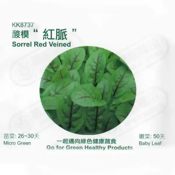 台灣PIH嚴選★酸模 紅脈 種子★種子花苗